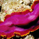 Image for article titled These immortal flatworms regenerate like real-life Time Lords